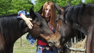 I cavalli non si mangiano: al via alla Camera l'iter della Pdl Brambilla sugli equidi come animali d'affezione