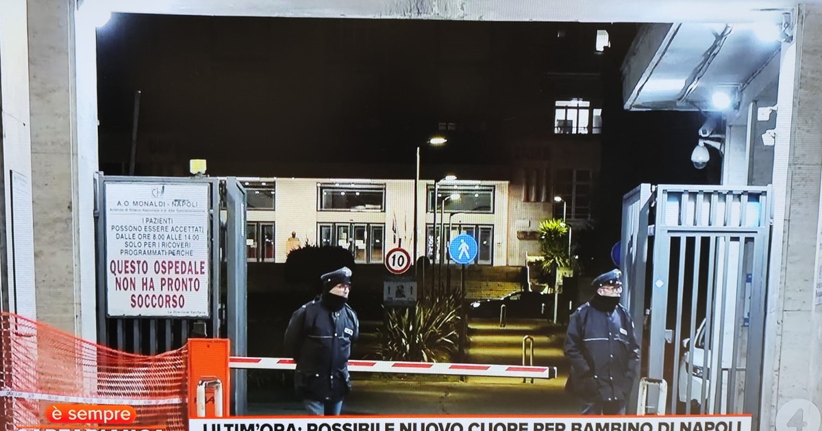 La mamma di Domenico convocata in ospedale: "Possibile cuore trapiantabile"