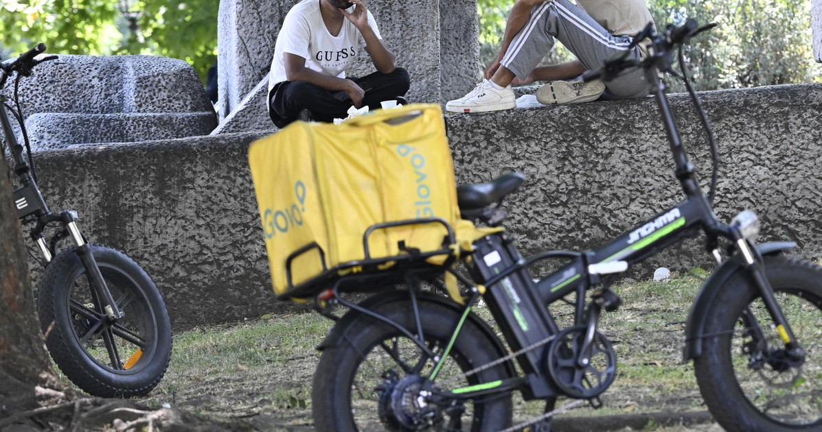 caso glovo arriva la decisione del gip cos ha deciso da Iltempo.it caso glovo arriva la decisione del gip cos ha deciso