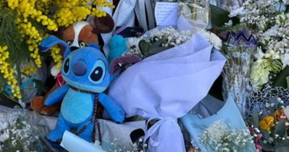 Addio al piccolo Domenico, la presidente Meloni: "L