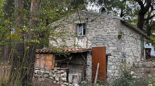 Famiglia nel bosco, "allontanare la madre e separare i minori". Che succede