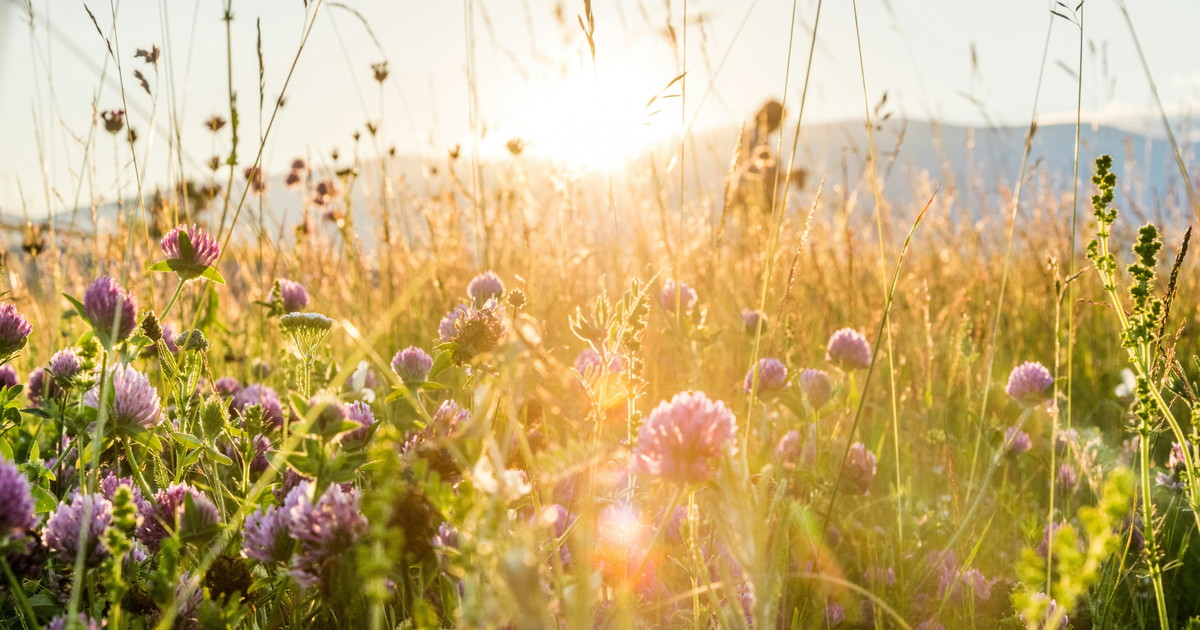 Come sarà la primavera. Giuliacci: il periodo atlantico a rischio pioggia
