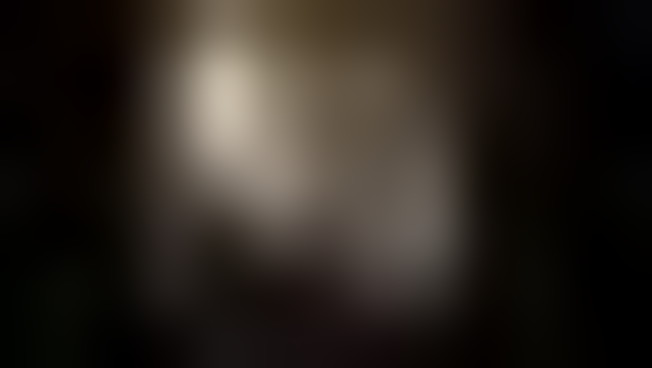 Un Vermeer a Torino: la Donna in blu che legge una lettera