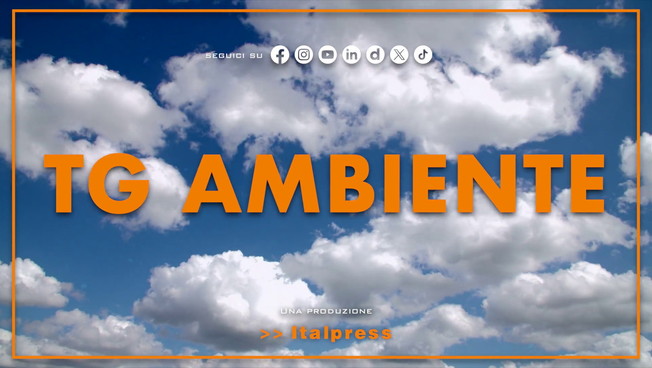 Tg Ambiente - 15/3/2026