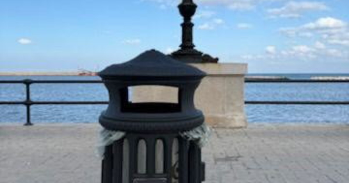 La rivincita dei Cestò di Gualtieri: spuntano in tutta Italia