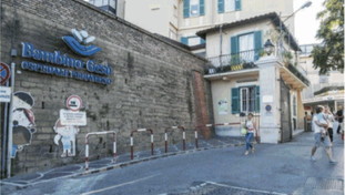 Allarme allergie stagionali: boom di casi al Bambino Ges&ugrave;