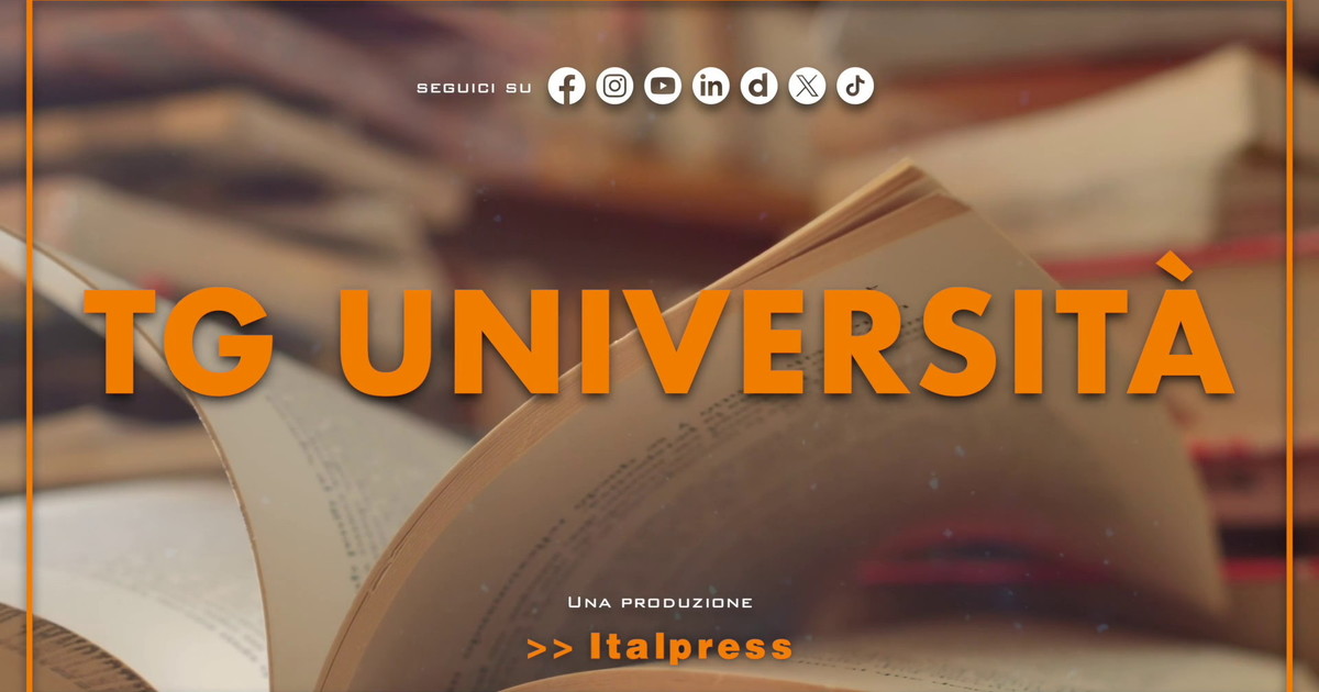 Tg Università - 24/3/2026
