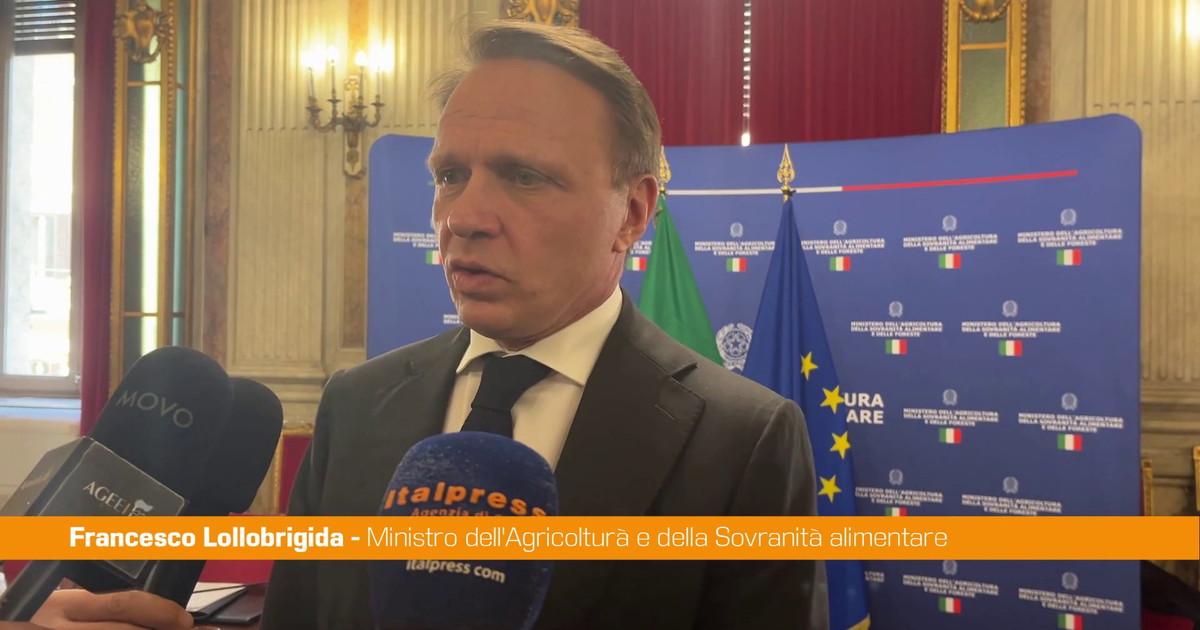 Nuovo accordo Masaf-Alibaba, Lollobrigida 