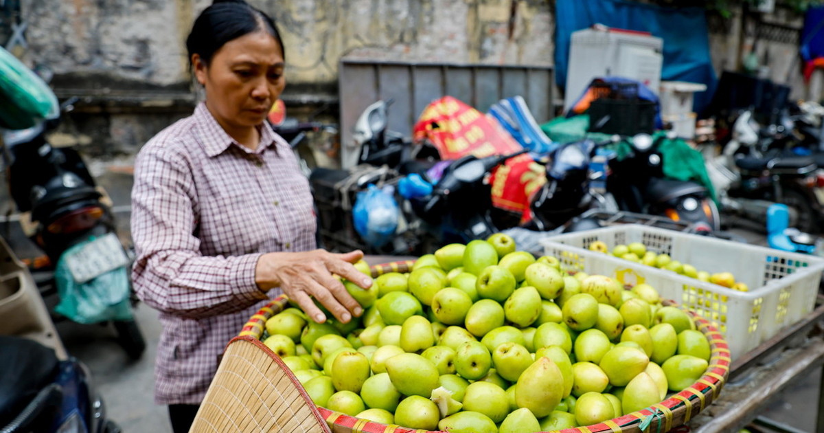 Le mele per rigenerare la cartilagine umana: la scoperta che cambia la medicina rigenerativa