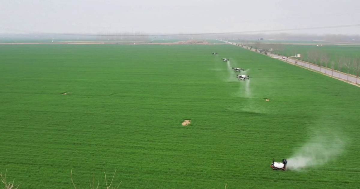 Cina, una fattoria smart trasforma la coltivazione dei cereali