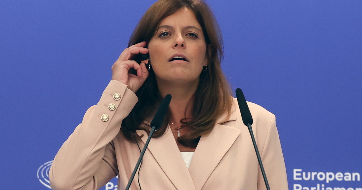 5 domande alla Salis + 1. La versione dell'eurodeputata non torna