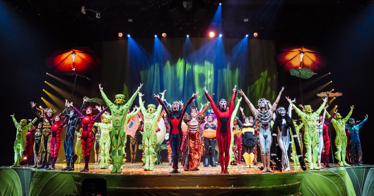 Ovo, con il Cirque du Soleil il mondo segreto degli insetti invade Roma