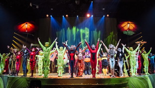 Ovo, con il Cirque du Soleil il mondo segreto degli insetti invade Roma