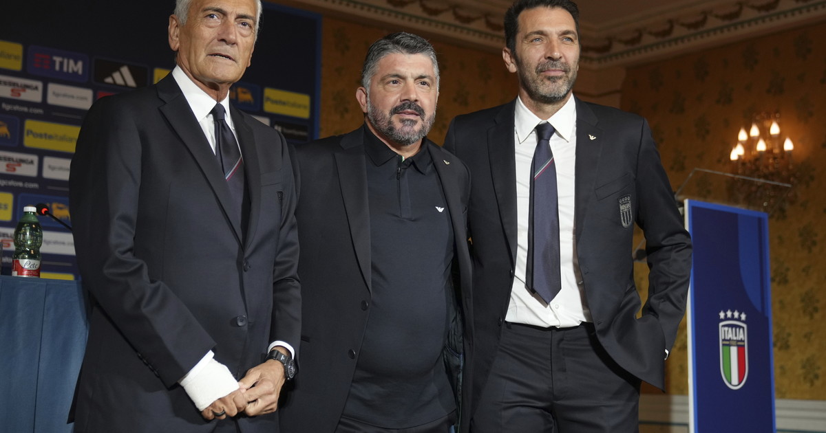 terremoto in figc dopo il flop mondiale gravina gattuso e buffon ecco le decisioni da Iltempo.it terremoto in figc dopo il flop mondiale gravina gattuso e buffon ecco le decisioni