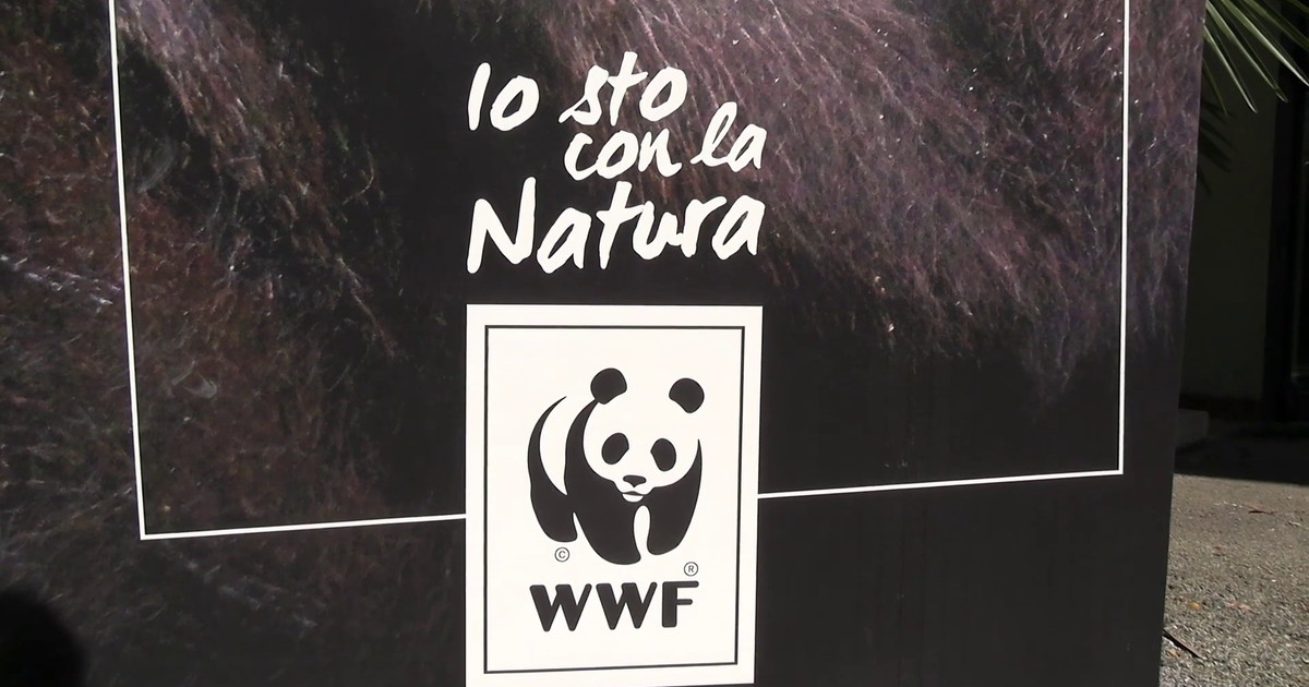 Sostenibilità, al via la quinta edizione di "For Nature, For Us”