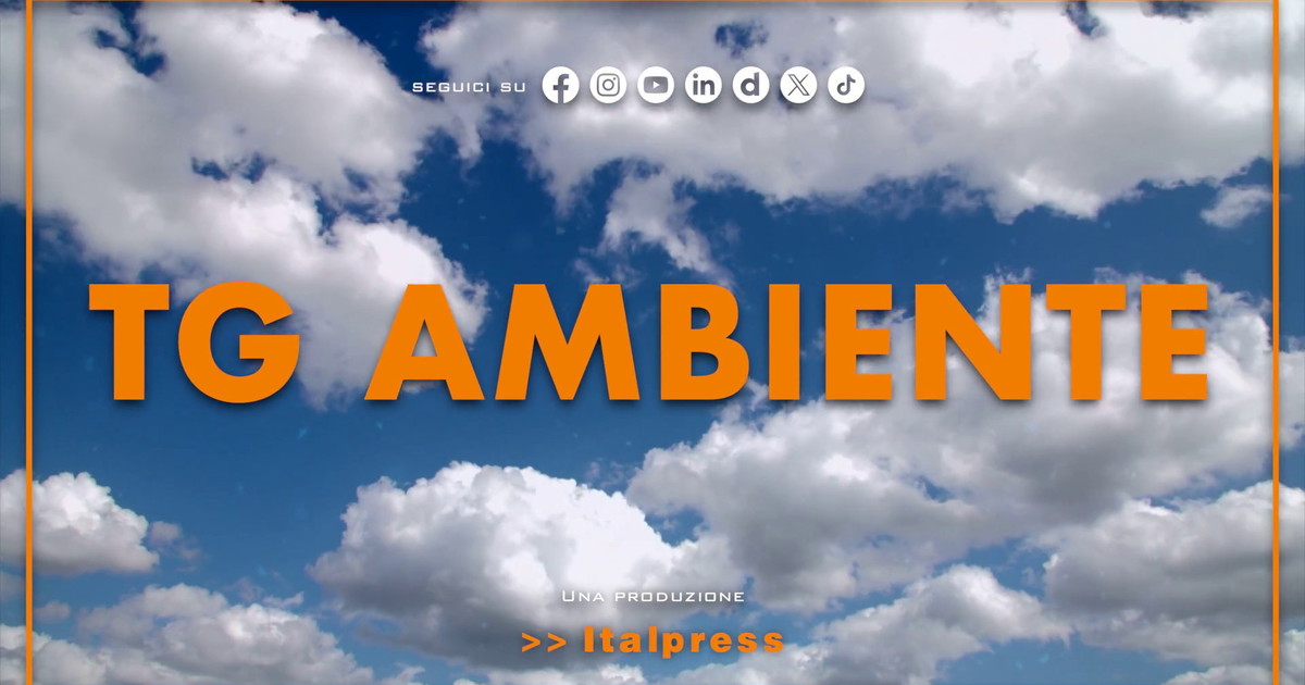 Tg Ambiente - 5/4/2026