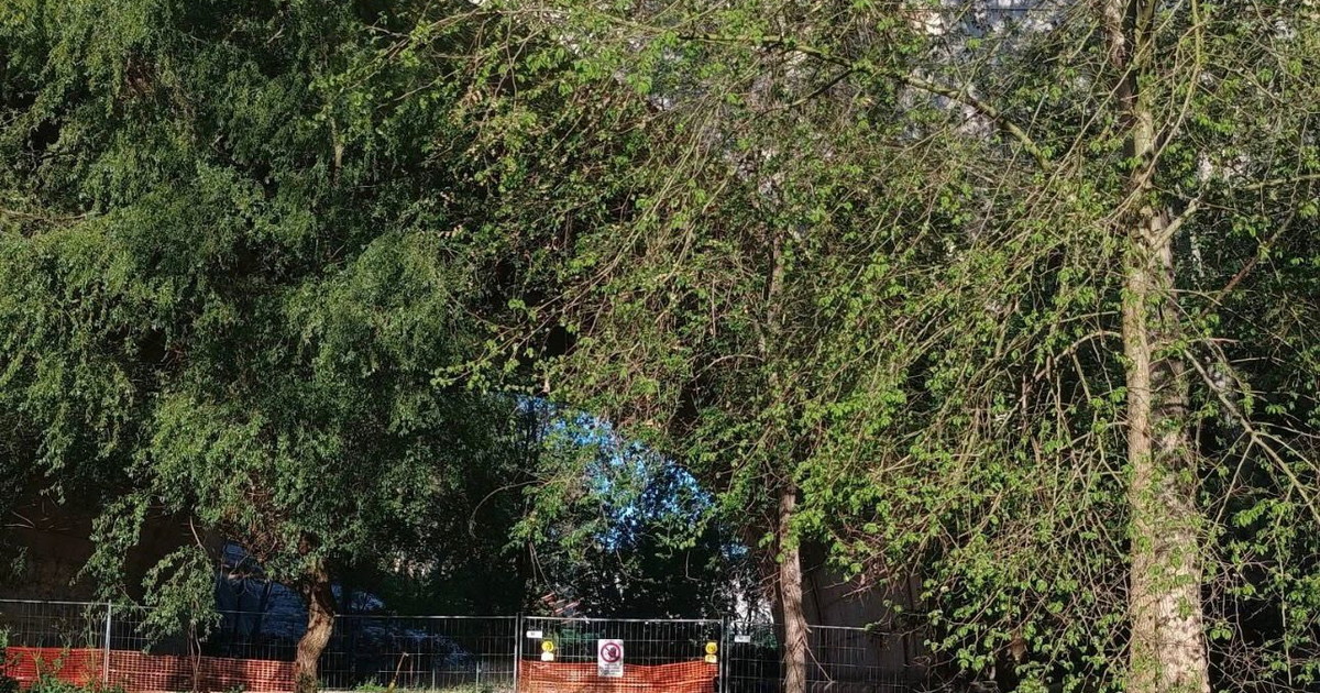 Altro affaccio sul Tevere 