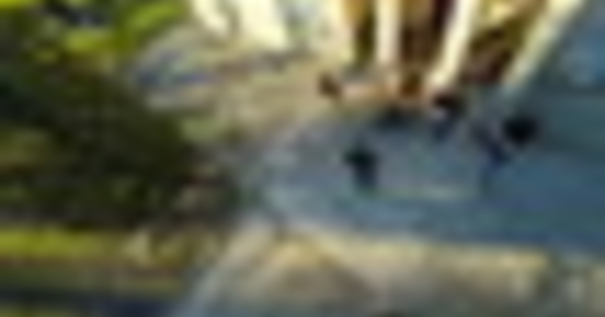 In anteprima il video 