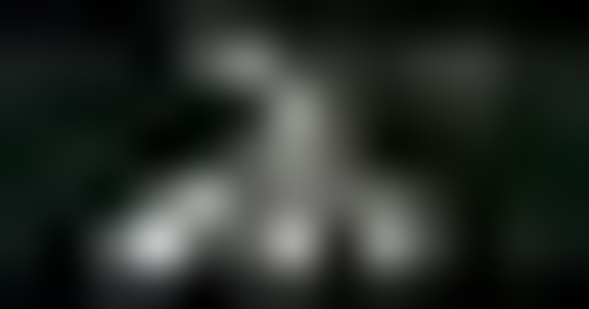 Nuovo album dei P.A.O. 