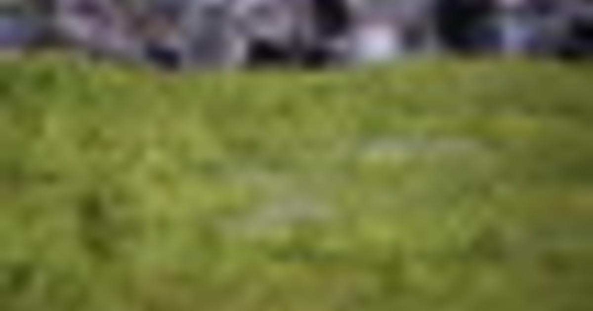 Messico, 6.800 kg di guacamole per battere il Guinness World Record