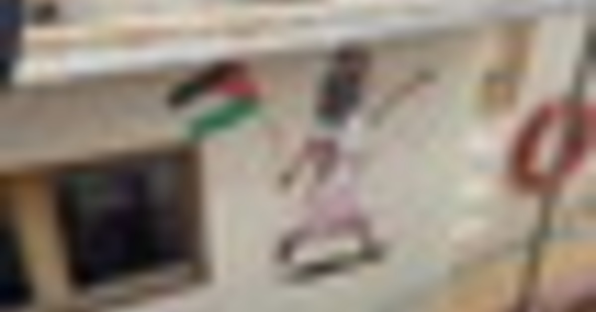 Global Sumud Flotilla, le due opere di Laika sulla 