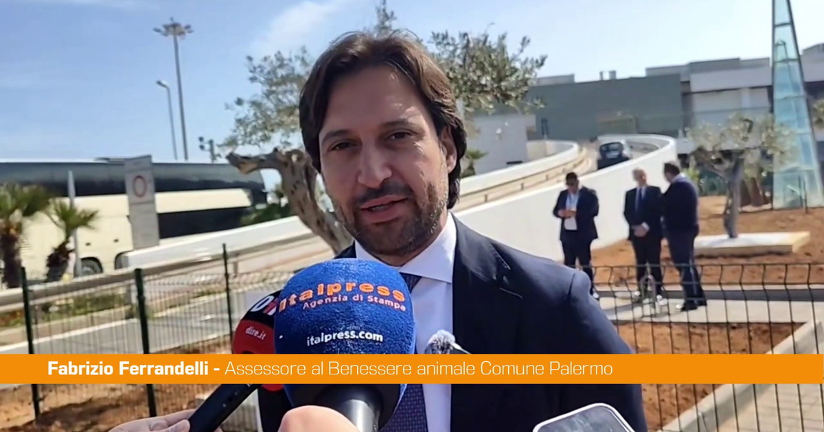 Area Pet all'aeroporto di Palermo, Ferrandelli 