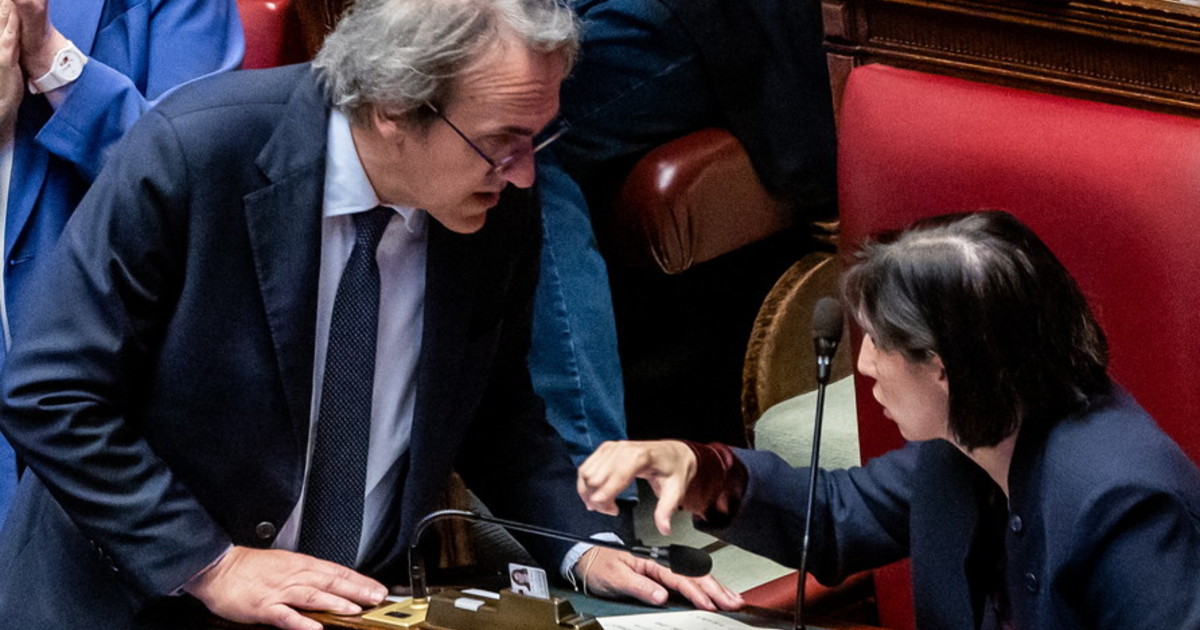 trump meloni cosa c 232 dietro la solidariet224 pelosa di schlein e compagni da Iltempo.it trump meloni cosa c 232 dietro la solidariet224 pelosa di schlein e compagni