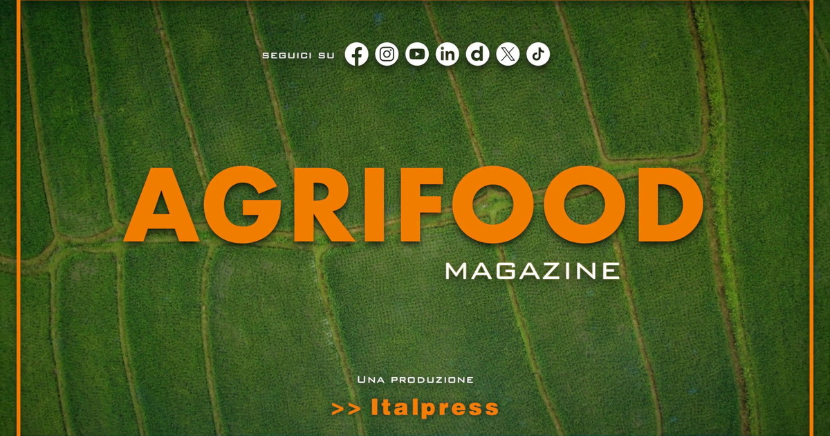 Agrifood Magazine - 15/4/2026