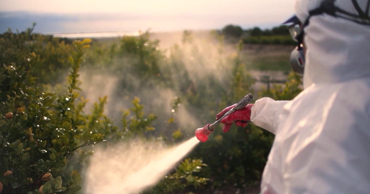 Pesticidi in agricoltura, cresce il rischio tumori