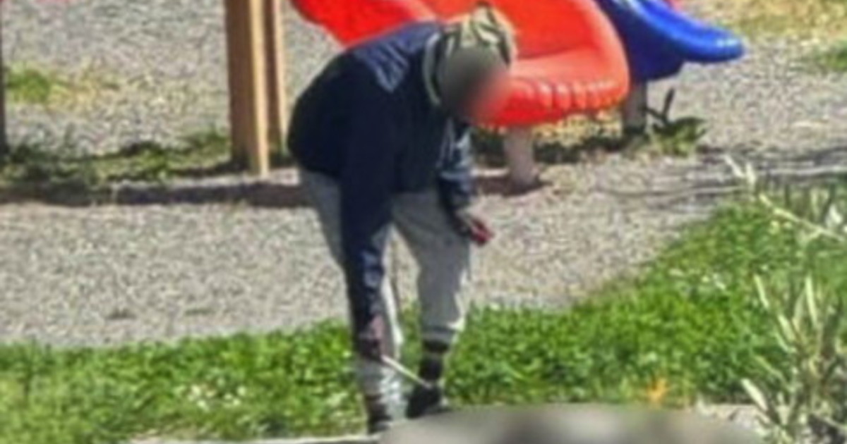 Nigeriano cucina un gatto tra i giochi dei bambini