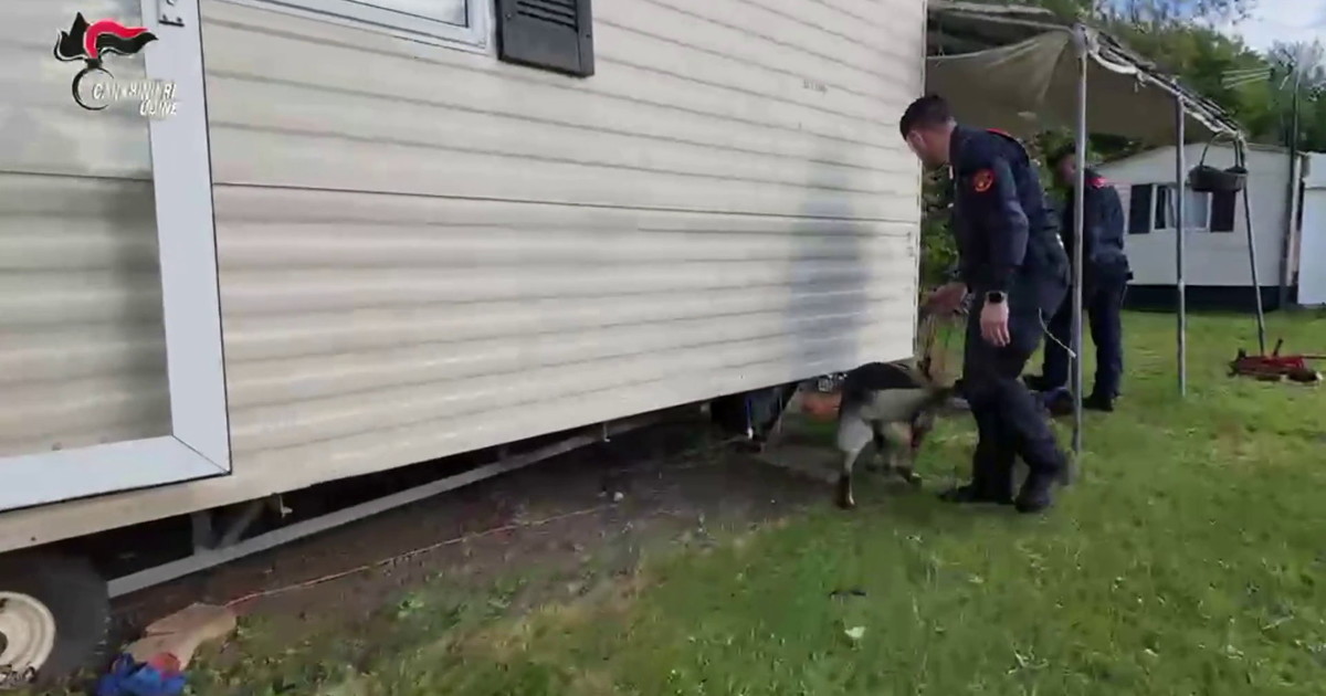 Furti in abitazione tra Friuli e Veneto: 5 misure cautelari, 4 in carcere