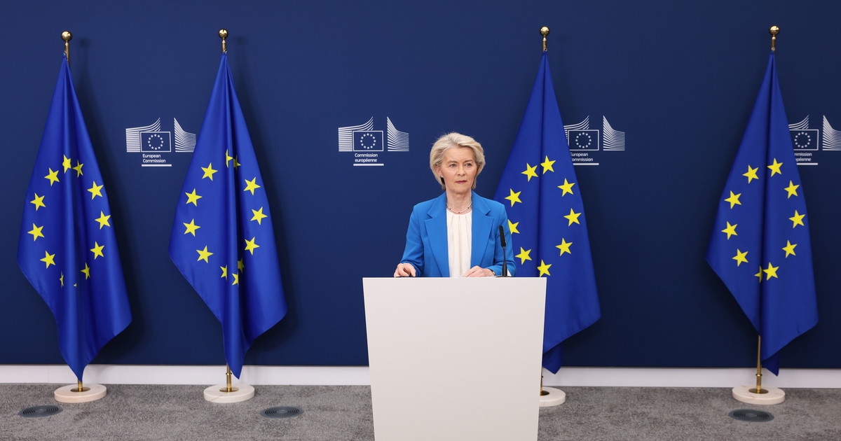 Sfida a Facebook, Instagram e X, l'Ue vuole farsi la propria piattaforma social europea