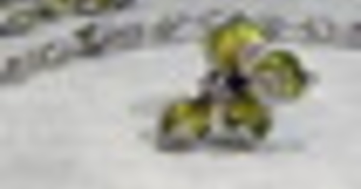 I gioielli in micromosaico di SICIS, una tecnica antica nel presente