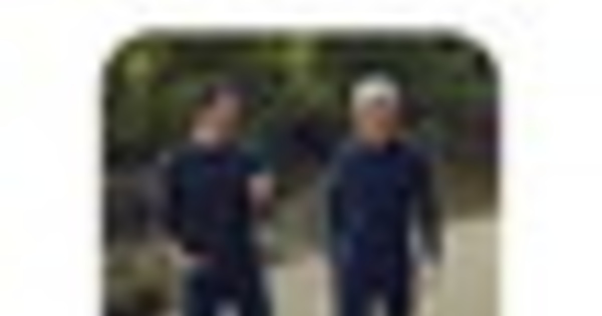 Apple, dopo 15 anni finisce l'era di Tim Cook: arriva John Ternus