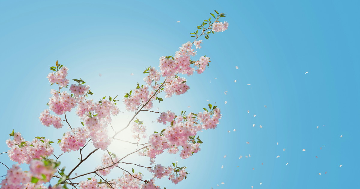 Giuliacci, bomba di primavera: Sole e 25 gradi. Ecco dove e quando