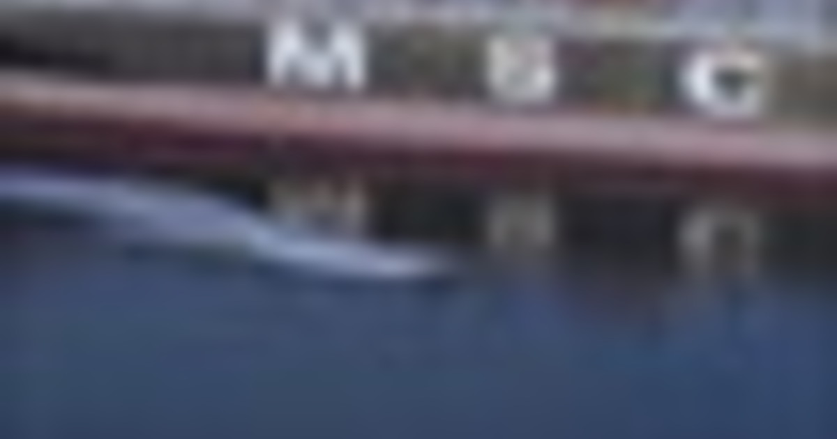 Hormuz, pasdaran diffondono immagini del sequestro di due navi cargo