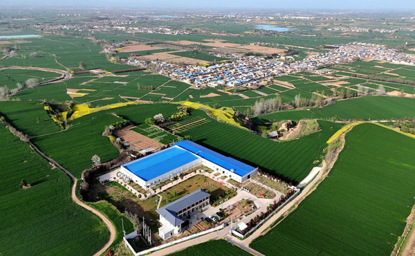 Cina, le industrie legate alle zone rurali in crescita nel primo trimestre