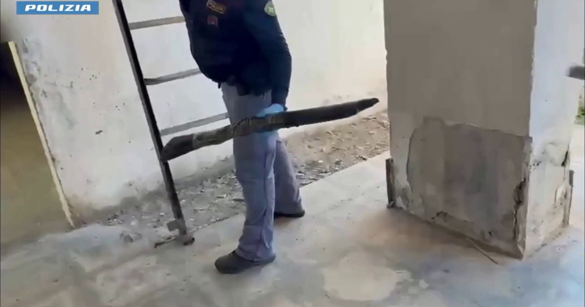 Catania, scoperto nascondiglio di armi e munizioni in edificio di Librino