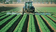 Agricoltura, Patto d'acciaio tra Italia e Unione europea: Roma partner chiave