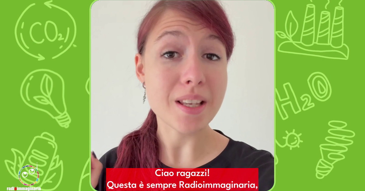 Anche le scimmie sono gelose