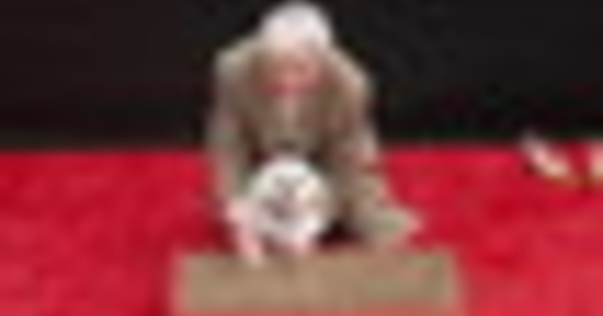Glenn Close (con cane) alla cerimonia delle impronte a Hollywood