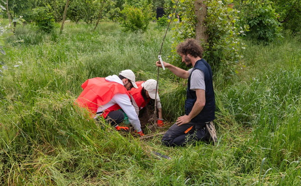 Ambiente, il Progetto Boschi di E.ON supera i 150.000 alberi piantati