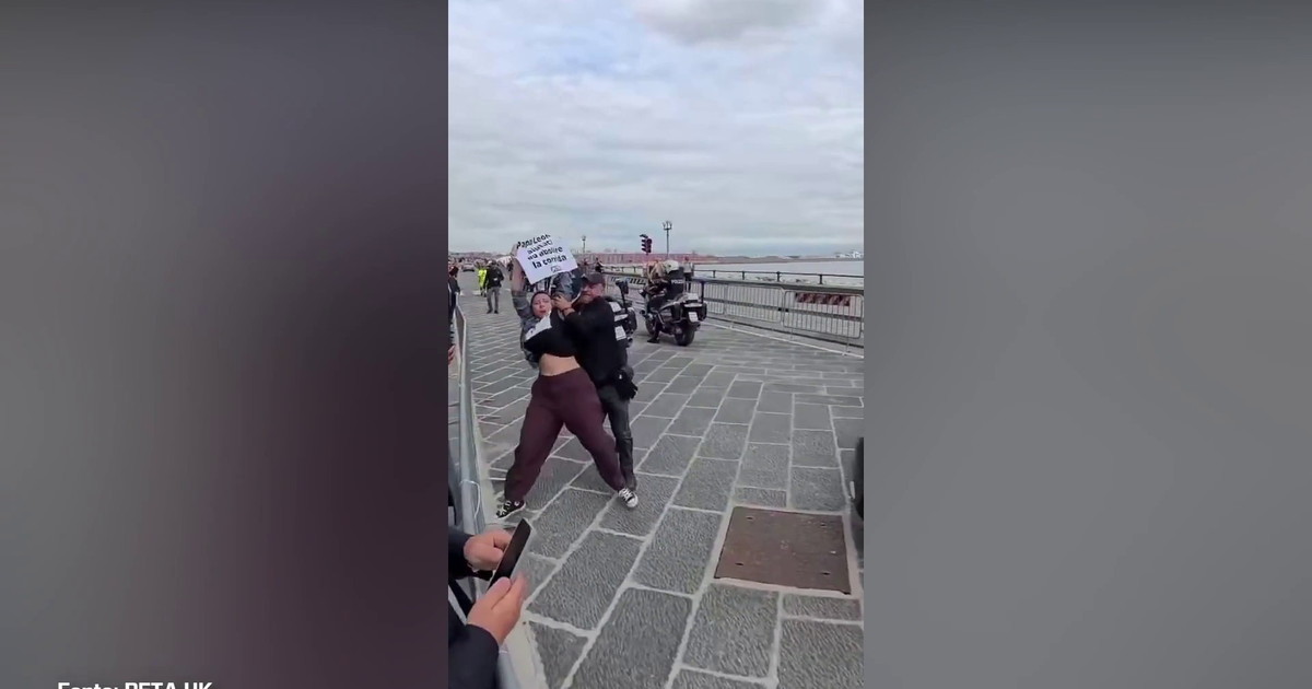 Napoli, attiviste Peta fermano Papamobile per protesta contro le corride