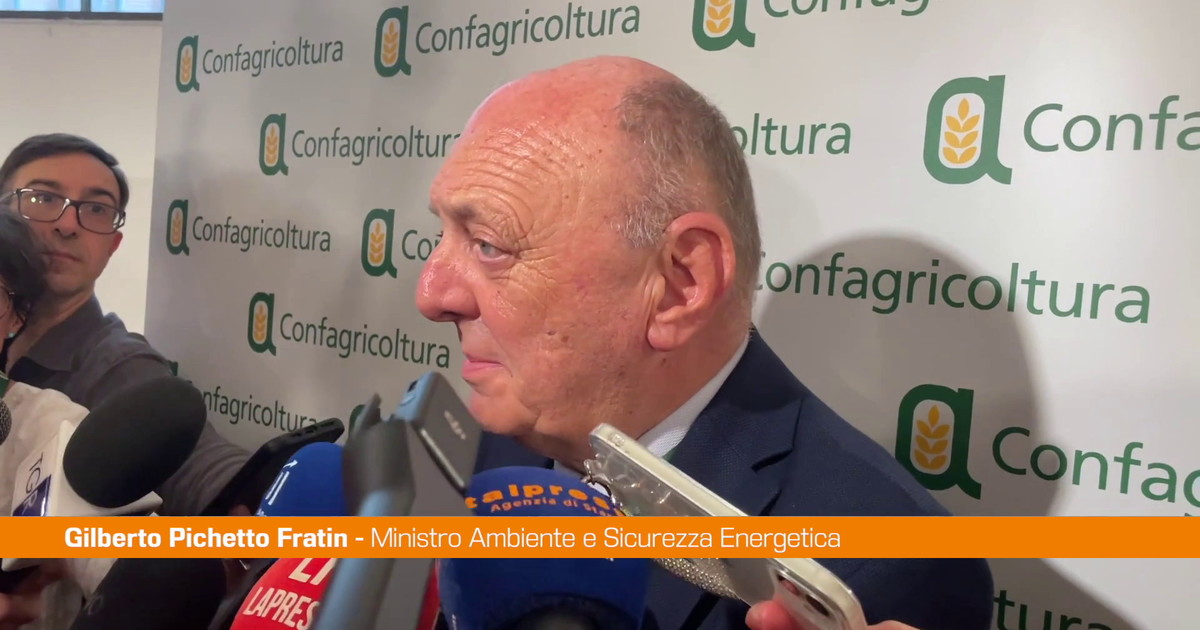 Dl bollette, Pichetto "Modifiche? Valuteremo in base a condizioni"