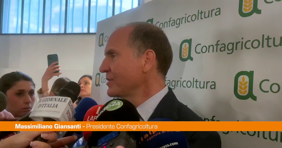 Agricoltura, Giansanti "Con blocco Hormuz peggiore crisi degli ultimi 100 anni"