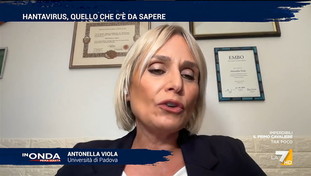 La profezia della virologa Viola su Hantavirus: Non rischiamo una nuova pandemia come il Covid