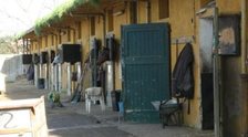 Catania, corsa clandestina con cavalli e spari. La Polizia: Mandrakata? Arrestati
