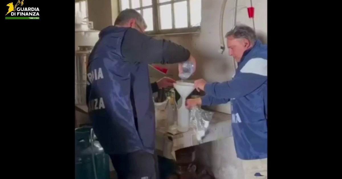 Guardia di Finanza sequestra 11 mila litri di vino nel trevigiano