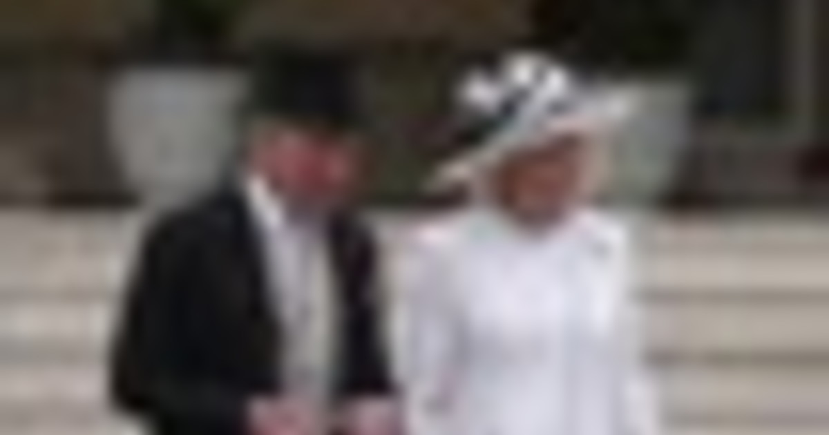 Re Carlo III offre un ricevimento in giardino a Buckingham Palace
