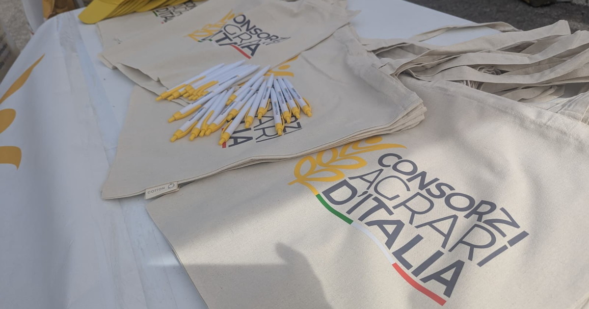 Consorzi agrari d'Italia cereali: qualità in crescita ma criticità su superfici, prezzi e costi di produzione